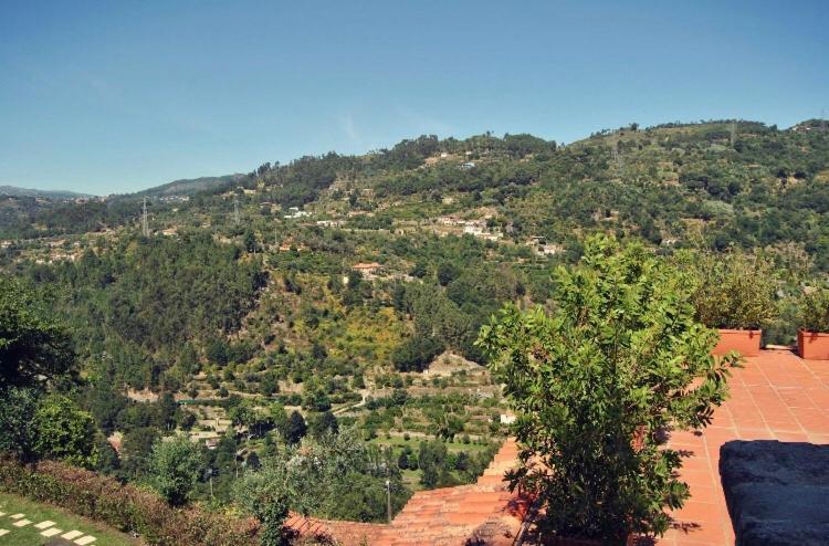 Vila Quinta Do Freixieiro Cinfães Exteriér fotografie